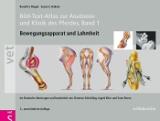 Bild-Text-Atlas zur Anatomie und Klinik des Pferdes