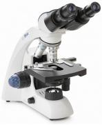 Binokular Mikroskop