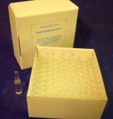 Kochsalzlösung 0,9 %