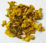 Königskerzenblüten ganz