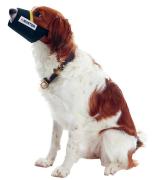 Maulgeschirr / Maulkorb für Hunde