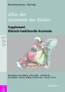 Atlas der Anatomie des Rindes (Supplement)