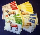 Lernkarten zur Muskulatur des Pferdes